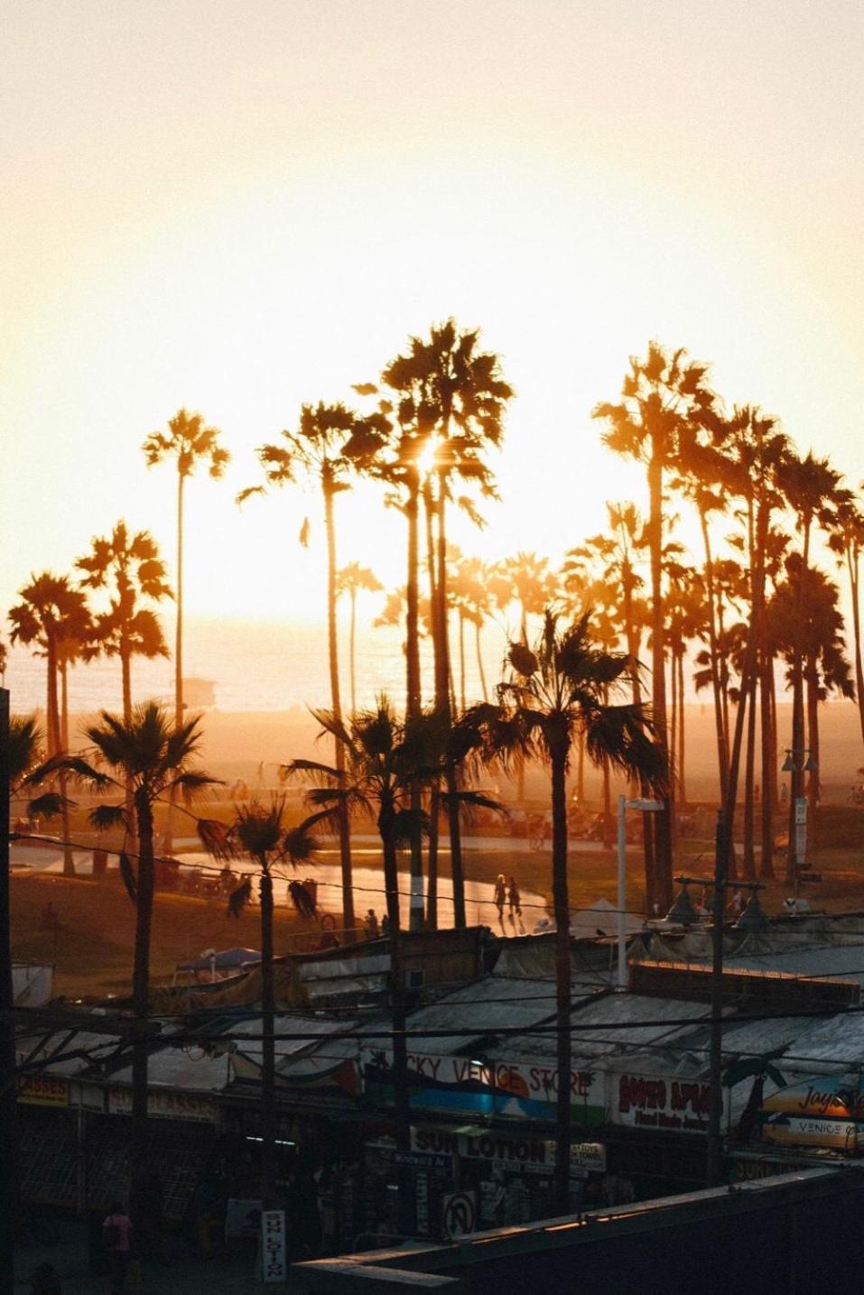 Venice Beach Studio With Large Private Patio Steps To The Beach Los Angeles Eksteriør bilde