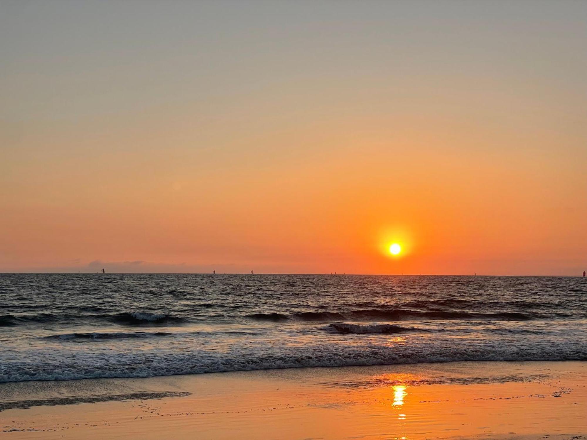 Venice Beach Studio With Large Private Patio Steps To The Beach Los Angeles Eksteriør bilde