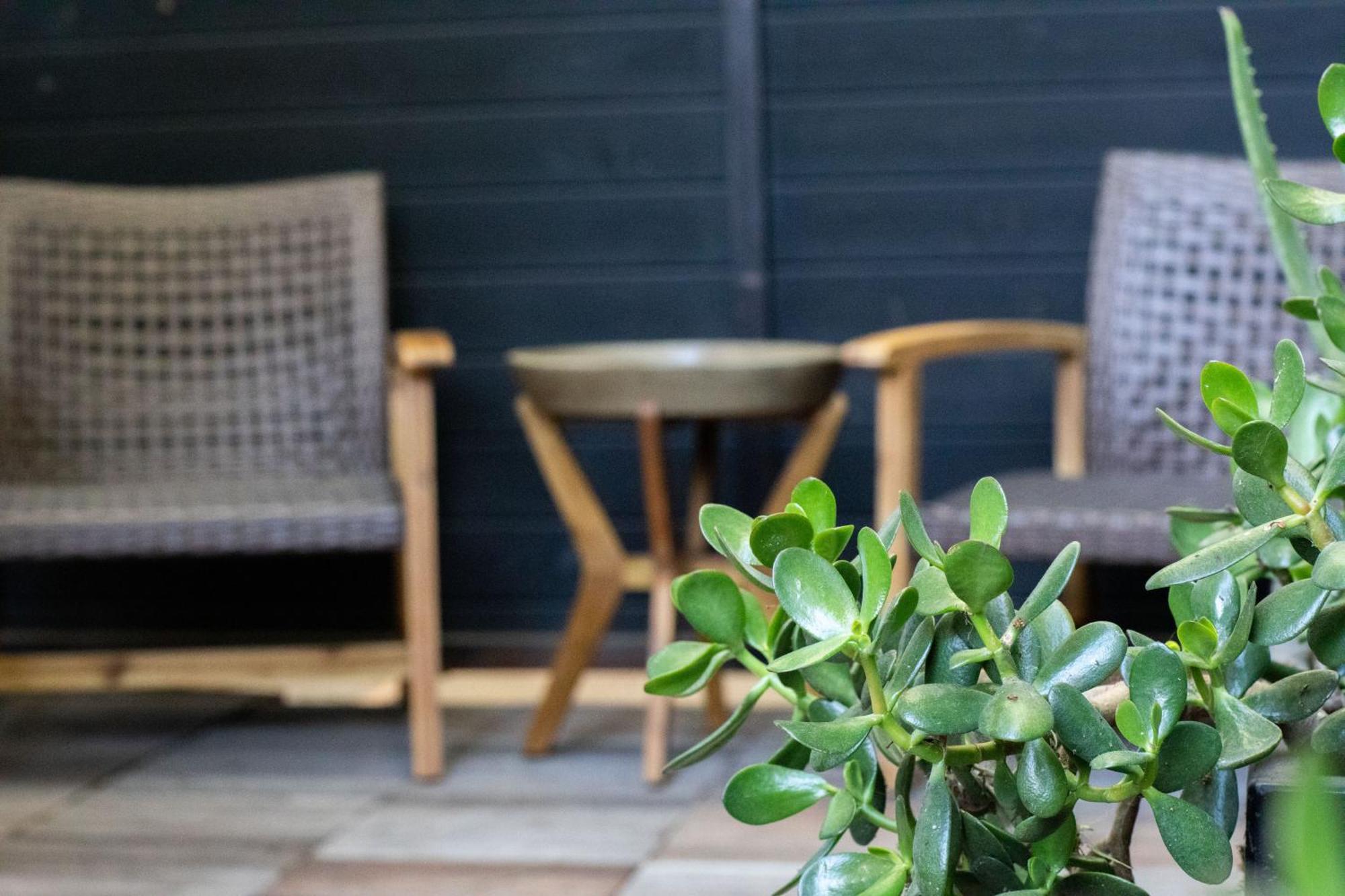 Venice Beach Studio With Large Private Patio Steps To The Beach Los Angeles Eksteriør bilde
