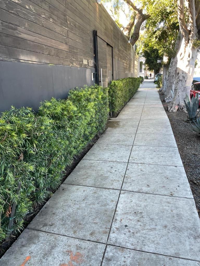 Venice Beach Studio With Large Private Patio Steps To The Beach Los Angeles Eksteriør bilde