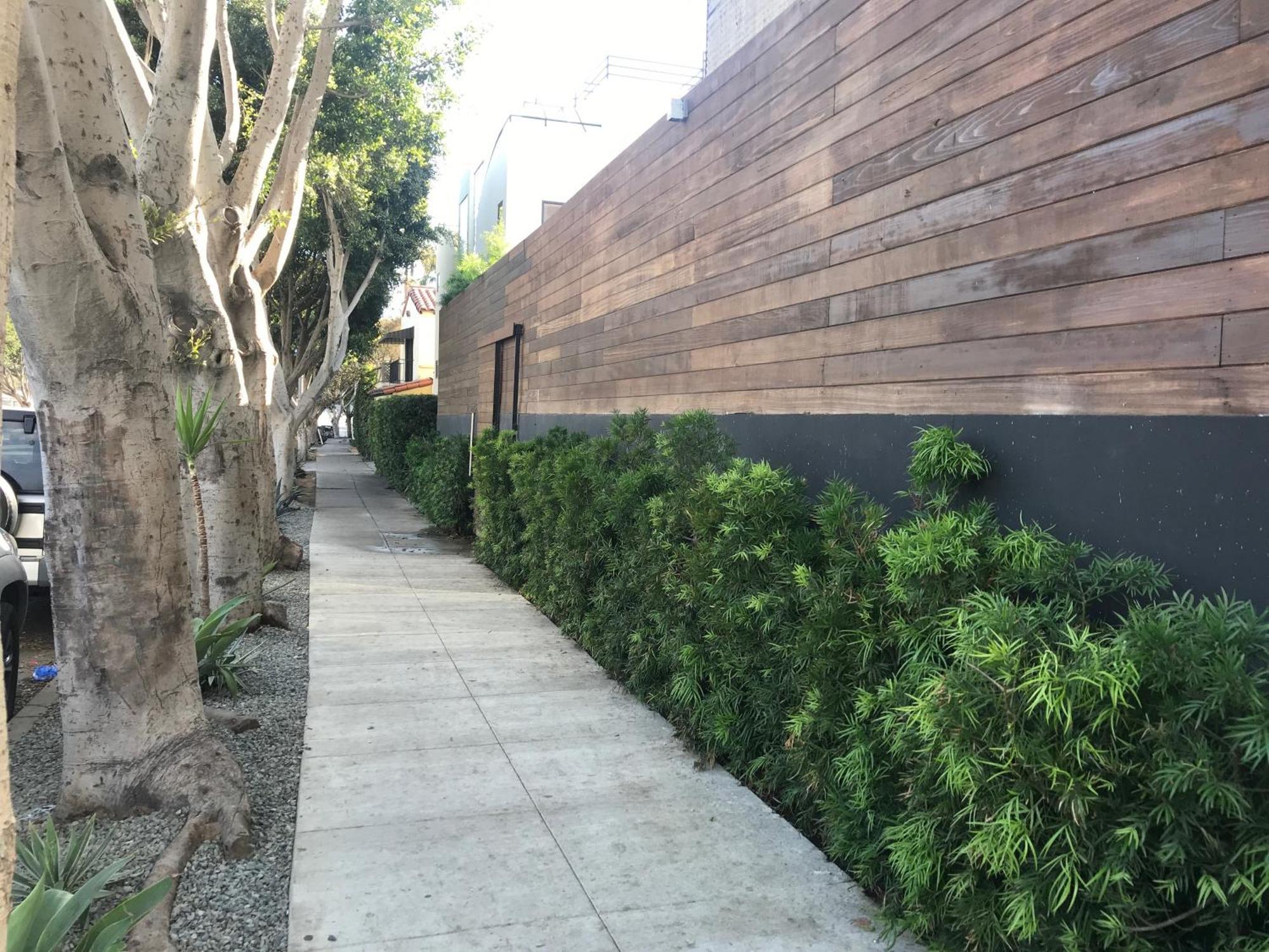 Venice Beach Studio With Large Private Patio Steps To The Beach Los Angeles Eksteriør bilde
