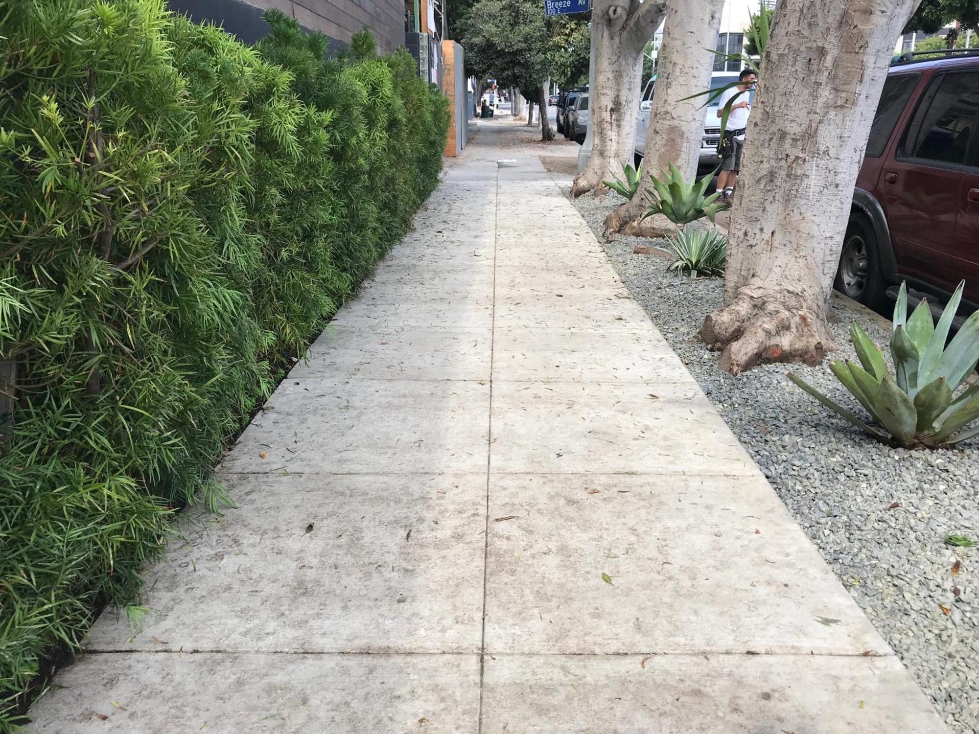 Venice Beach Studio With Large Private Patio Steps To The Beach Los Angeles Eksteriør bilde
